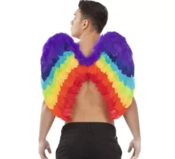 Ali da angelo arcobaleno