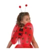 Ali di coccinella e diadema