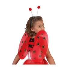 Ali di coccinella e diadema