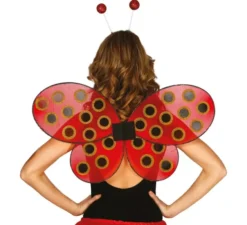 Ali di coccinella 63 x 41 cm