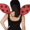 Ali di coccinella 32x50 cm
