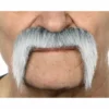 Baffi di grizzly messicano
