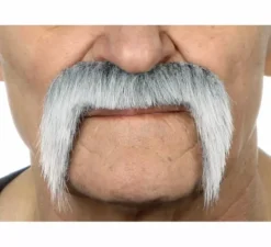 Baffi di grizzly messicano