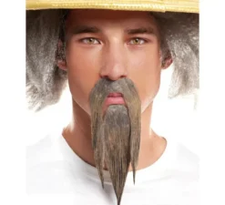 Baffi e barba grigi asiatici