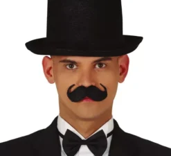 Baffi inglesi in vari colori