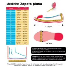 Ballerine viola glitterate nei numeri dal 22 al 41