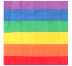 Bandana o Sciarpa Arcobaleno con strisce spesse di 54x54 cm