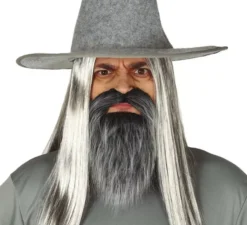 Barba e baffi grigi