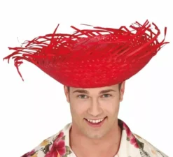 Cappello da Spaventapasseri in vari colori