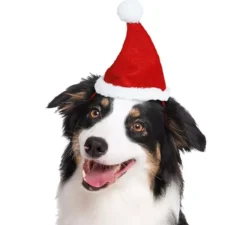 Cappello natalizio per cane