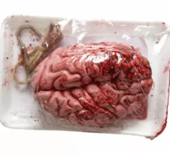 Cervello insanguinato su un piatto