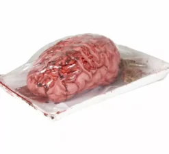 Cervello insanguinato su un piatto