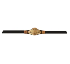 Cintura campione di wrestling
