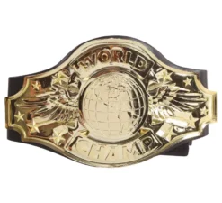 Cintura campione di wrestling