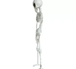 Ciondolo Scheletro Alieno 42 cm