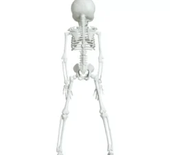 Ciondolo Scheletro Alieno 42 cm