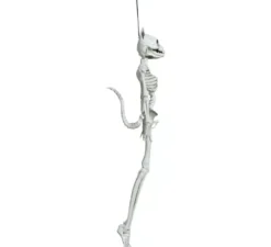 Ciondolo Scheletro Gatto 37 cm