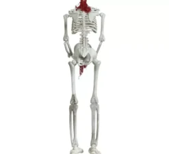 Ciondolo scheletro senza testa 37 cm