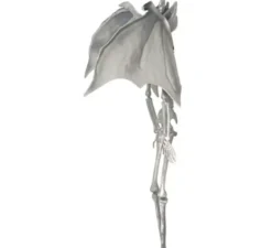 Ciondolo scheletro vampiro da 40 cm con ali