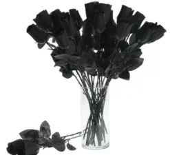 44 cm rosa nera