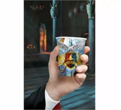 Confezione da 6 bicchieri Mago da 240 ml (9 cm)