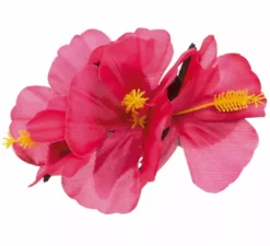 Confezione da 2 fiori per capelli