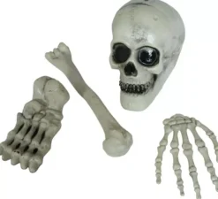 Confezione da 4 ossa di scheletro