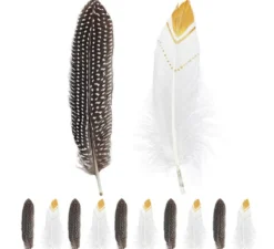 Confezione da 12 Piume Indiane in colori assortiti