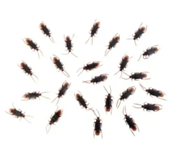 Confezione da 24 Scarafaggi da 7x2 cm