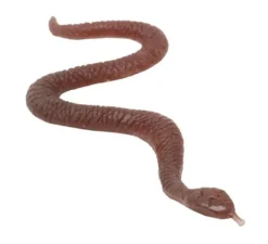 Confezione da 8 Serpenti Rossi da 9,5 cm