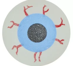 Confezione da 5 sfere oculari in gomma 2,5 cm