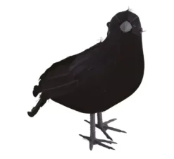 Corvo nero 25 cm