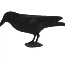 Corvo nero 30 cm