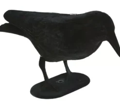 Corvo nero 30 cm
