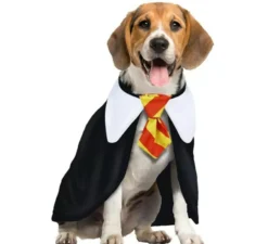 Costume da cane studente di magia