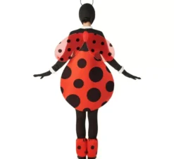 Costume da coccinella paffuta con ali per donna