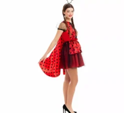 Costume da coccinella per donna