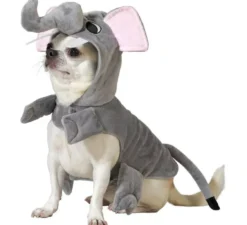 Costume da elefante per cani
