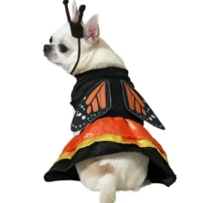 Costume da farfalla per cani