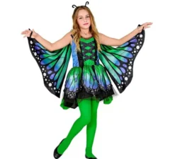 Costume da farfalla verde con ali per bambina