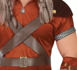 Costume da guerriero vichingo norreno per uomo