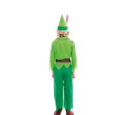 Costume da ragazzo volante verde per bambino