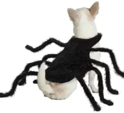 Costume da ragno tarantola peloso per cani