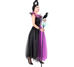 Costume da Regina Cattiva per Donna