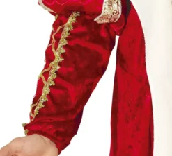 Costume da re medievale per uomo