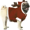 Costume da renna di Babbo Natale da cane