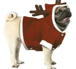 Costume da renna di Babbo Natale da cane