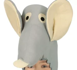 Costume da topo grigio con cappello per bambino