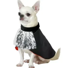 Costume da vampiro Dracula per cani