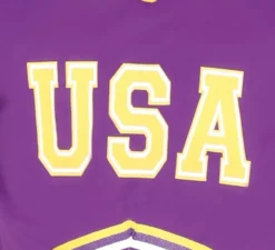 Costume del quarterback che indossa viola e giallo per l'uomo